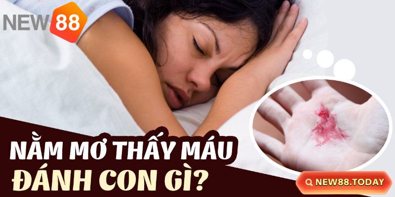 Luận số lô đề khi nằm mơ thấy máu